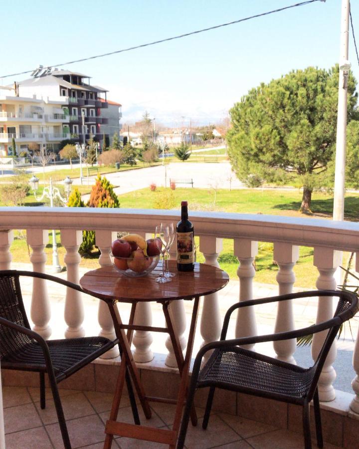 Villa Alexander Paralia Katerinis Luaran gambar